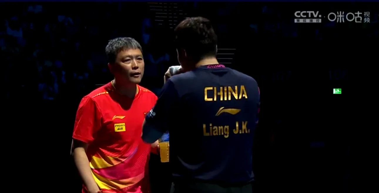 法国乒乓球队绝地反击中国乒乓球队，王皓关键制胜的简单介绍