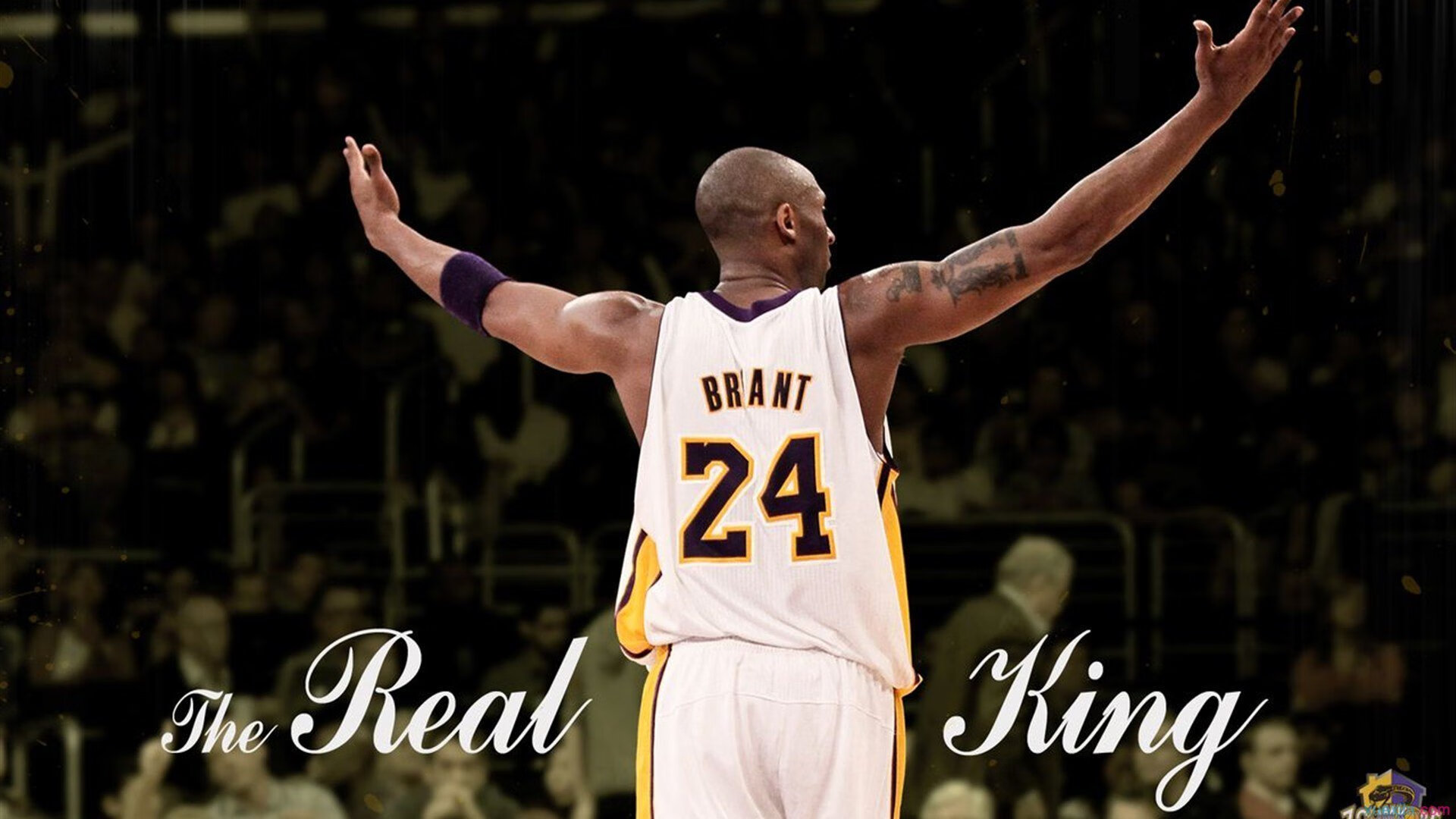 范戴克一夫当关,多特蒙德客场偷走安菲尔德胜利