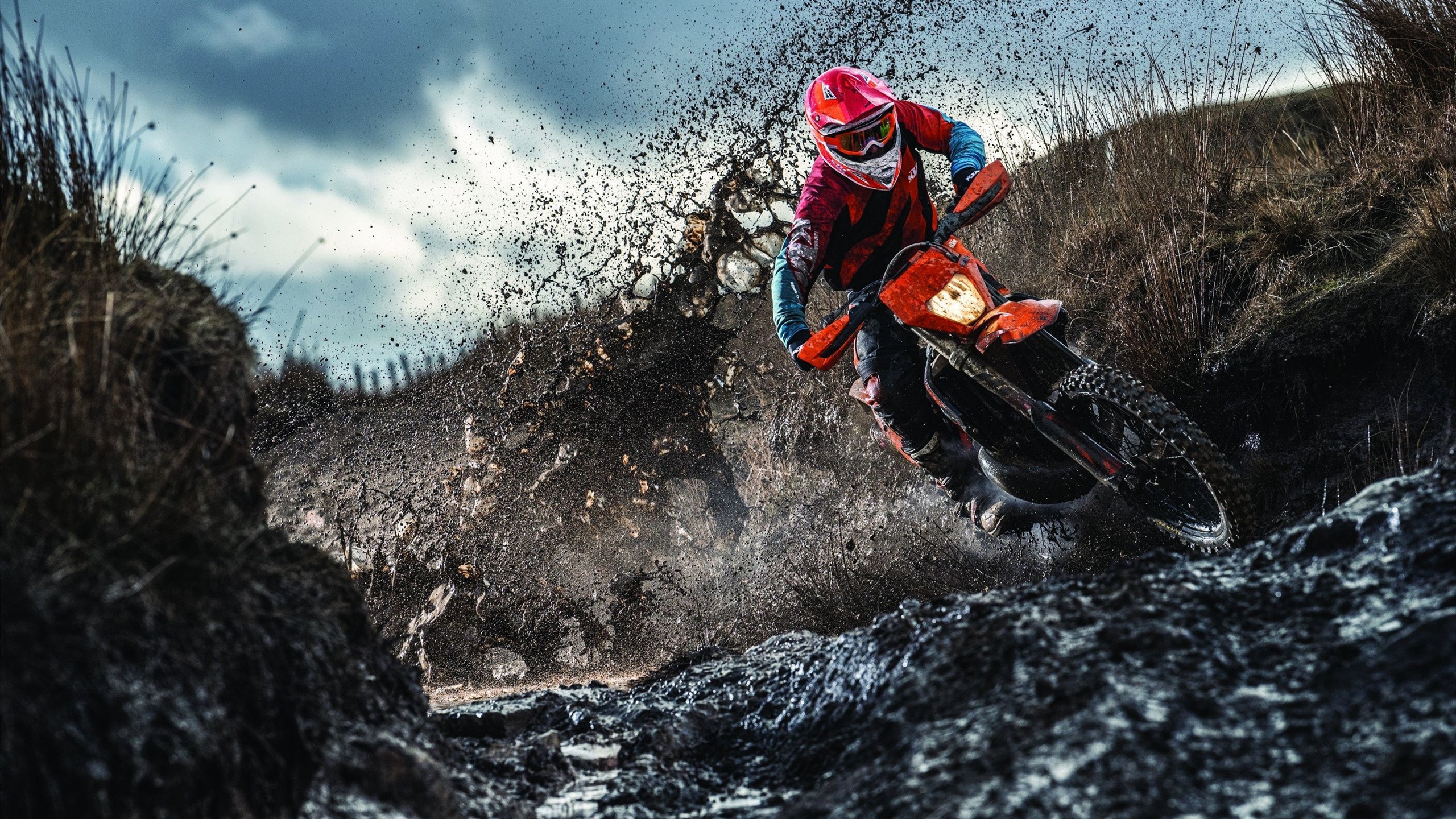 LOL电竞动态-福克斯之夜，德甲争冠战赛后评分拉满，见证传奇的诞生